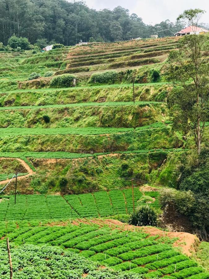 Mountain View Cottage Ooty Bagian luar foto