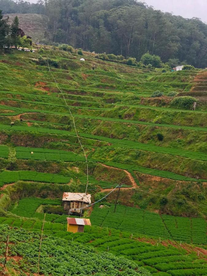Mountain View Cottage Ooty Bagian luar foto