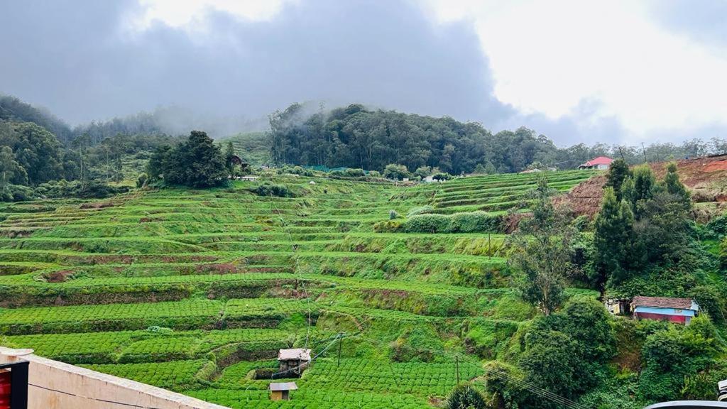 Mountain View Cottage Ooty Bagian luar foto